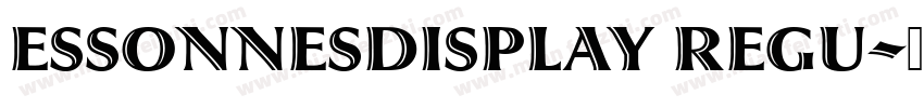 ESSONNESDISPLAY REGU字体转换